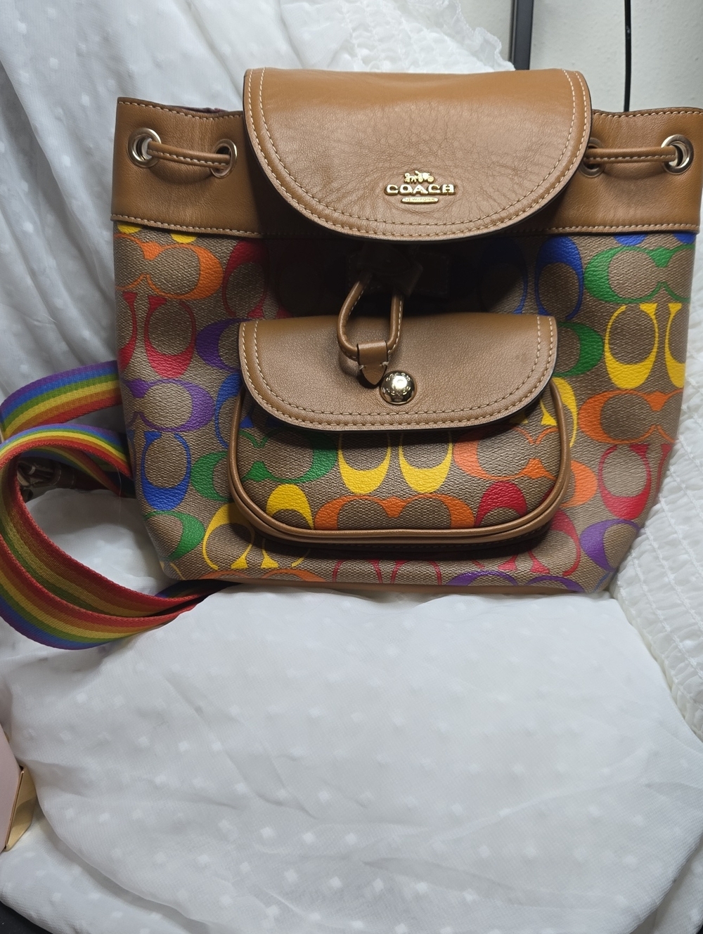 Coach Mini Pennie Rainbow Backpack